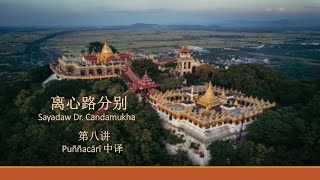 8. Sayadaw Dr. Candamukha 《离心路分别》( 四种结生：段落 17--23)