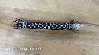 Soft Robotic Actuators