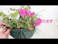 petunia hanging basket made from 10 stocks