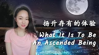 【扬升系列/Ascension Series】08 成为扬升存有是一种怎样的体验?/ What It Is To Be An Ascended Being? 432Hz