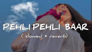 PEHLI PEHLI BAAR MOHABBAT |  |Alka Yagnik| slowed reverb |🎧 Use Headphone | Lofi hindi Song |