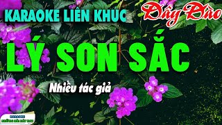 Karaoke Liên Khúc Lý Son Sắc I Dây đào I Beat hay I Rất hay