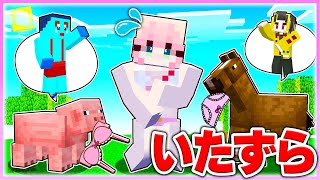 🌈モブのフリしてかわいい女の子にイタズラしまくるマインクラフト🧟‍♂️💓【 マイクラ / Minecraft 】