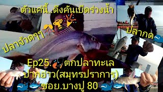 Ep25.#ตกปลาทะเล #บางปู#สมุทรปราการ. 🎣ก็มาดิครับ\