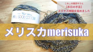 メリヤス地獄を始めました【本日の手芸】today's handicraft