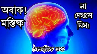 মস্তিষ্কের বিস্ময়কর তথ্য || Human brain wonderful information ||porashonar school