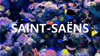 [칸 영화제 레드카펫 주제 곡] SAINT-SAËNS: Le Carnaval des animaux :Aquarium (동물의 사육제 중 수족관) 1hour