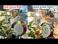 Great Grow Light Bulb for House Plants - Haus Bright Smart LED - Review