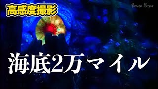 【高感度撮影】海底2万マイル  /  東京ディズニーシー