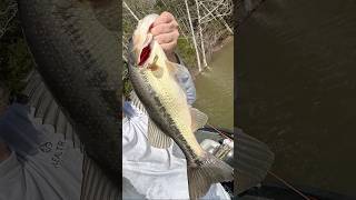 Cold water bass fishing 🥶