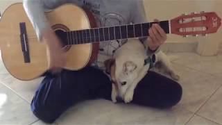 ACDC back in Black acoustic cover with my dog