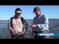 Catching Yellowfin Whiting 