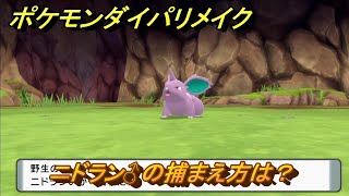 ポケモンダイパリメイク　ニドラン♂の捕まえ方は？出現場所は？　最新版【ブリリアントダイヤモンド・シャイニングパール】