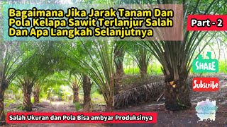 Bagaimana Jika Jarak Tanam Dan  Pola Kelapa Sawit Terlanjur Salah Dan Apa Langkah Selanjutnya