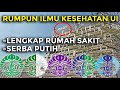 Jurusan Kesehatan di Universitas Indonesia