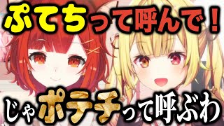 ぷてちと呼んでほしいプティ、ポテチと呼ぶ星川【にじさんじ/星川サラ/ラトナ・プティ】