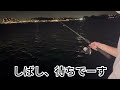 江ノ島　夜釣りリベンジ２