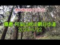 嘉義 阿里山祝山觀日步道2023/6/22-07