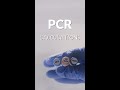 How to calculate PCR reactions #shorts