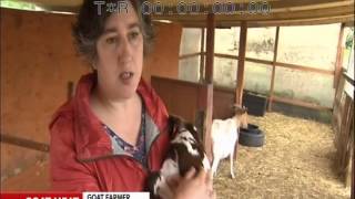 Sky News HD: Anglia Farm Shop