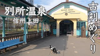 【犬と歩く信州】信州の鎌倉、別所温泉をあるく。/ 北向観音 / 常楽寺 / 安楽寺 / あいそめの湯♨️