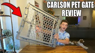 1 Year Review of Carlson Pet Gate