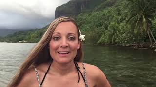 Taurua Tahiti   Humpback Whale Open Ocean Encountersin Moorea, Tahiti.