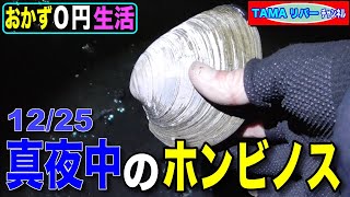 【おかず０円生活】クリスマスの夜・真夜中のホンビノス掘り