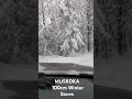 MUSKOKA 100cm Winter Storm