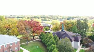Judson's Fall Colors