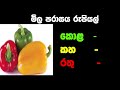 2024.11.29 dambulla market vegetable price today අද එළවළු මිල සීග්‍රයෙන් ඉහළට ada elawalu mila