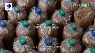 SMEONE SERVICES : ศูนย์เชี่ยวชาญนวัตกรรมเกษตรสร้างสรรค์