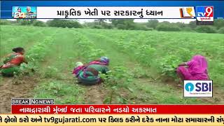 બજેટ 2023માં કૃષિ ક્ષેત્રને શું મળ્યું? | TV9GujaratiNews