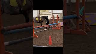 My special girl❤️😂😭 #horse #ponyfun #equestrian #funnybloopers #pony #funnyclips #memes