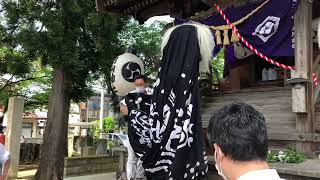 長井市十日町白山神社例大祭　　　出獅子#長井市 #長井黒獅子 #山形県 #日本の祭り