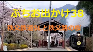 ぷちお出かけ38・秩父鉄道SLと桜