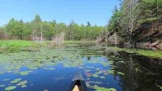 Paddling into a bay @ Moon Island, Massassauga PP, The Archipelago ON, July 23 2021