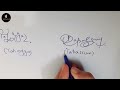 signature tips for alphabet t《 20 names 》