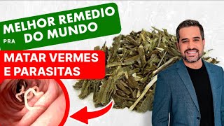 O MELHOR REMÉDIO DO MUNDO PARA ELIMINAR VERMES E PARASITAS EM 3 DIAS - DR RENATO SILVEIRA