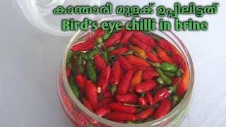 Kanthari Mulaku Uppilittathu/കാന്താരി മുളക് ഉപ്പിലിട്ടത്/Bird's Eye Chilli in Brine