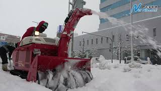 鳥取県内各地に大雪警報や注意報　日本海新聞