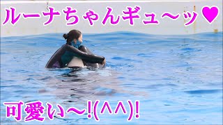 ルーナちゃんとトレーナーさんのラブ😍ラブ😍チルタイム 鴨川シーワールド シャチ Orcas at Kamogawa Sea World in Japan