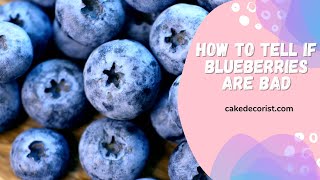 How To Tell If Blueberries Are Bad