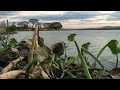 lago suchitlán mejor conocido como el embalse elsalvador lagosuchitlán