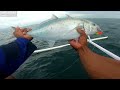 light jigging fish giant trevally depth 40 60m