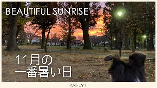 【朝焼け】１１月の一番暑い日 BEAUTIFUL SUNRISE ＜RAINEY＋＞