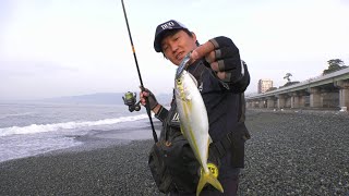 初夏の西湘サーフで楽しむショアジギング ～FISHING DOOR～