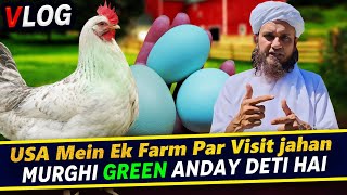 Mufti Tariq Masood USA City And Farm Home Vlog | Mufti Tariq Masood Speeches 🕋