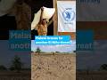Malawi braces for another El Niño threat