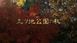 三ツ池公園の秋